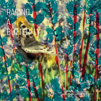 Fehér holló No. 3 (Anne Mette Iversen Quartet + 1: Racing a Butterfly)