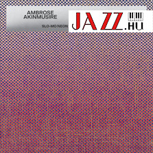 Ambrose Akinmusire/Mary Halvorson – Slo-Mo Neon Luminate Hoverings