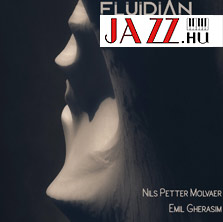 Fluidian (and Nils Petter Molvaer) – Windscapes