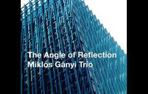 Miklós Gányi Trio: The Angle of Reflection