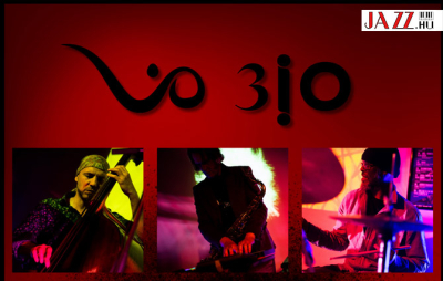 ViO 3iO – ViOlogy