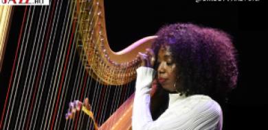 A HÁRFA OTTHONRA LELT